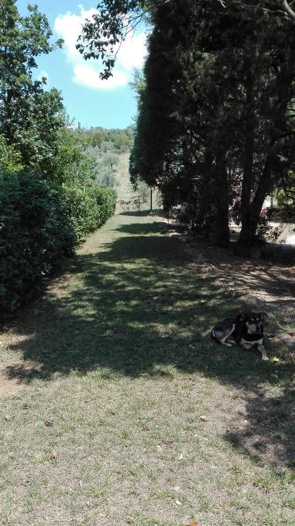 Agriturismo San Lino-Gilberto Massa Marittima Εξωτερικό φωτογραφία