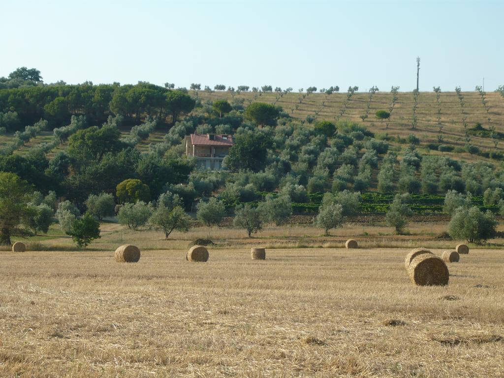 Agriturismo San Lino-Gilberto Massa Marittima Εξωτερικό φωτογραφία