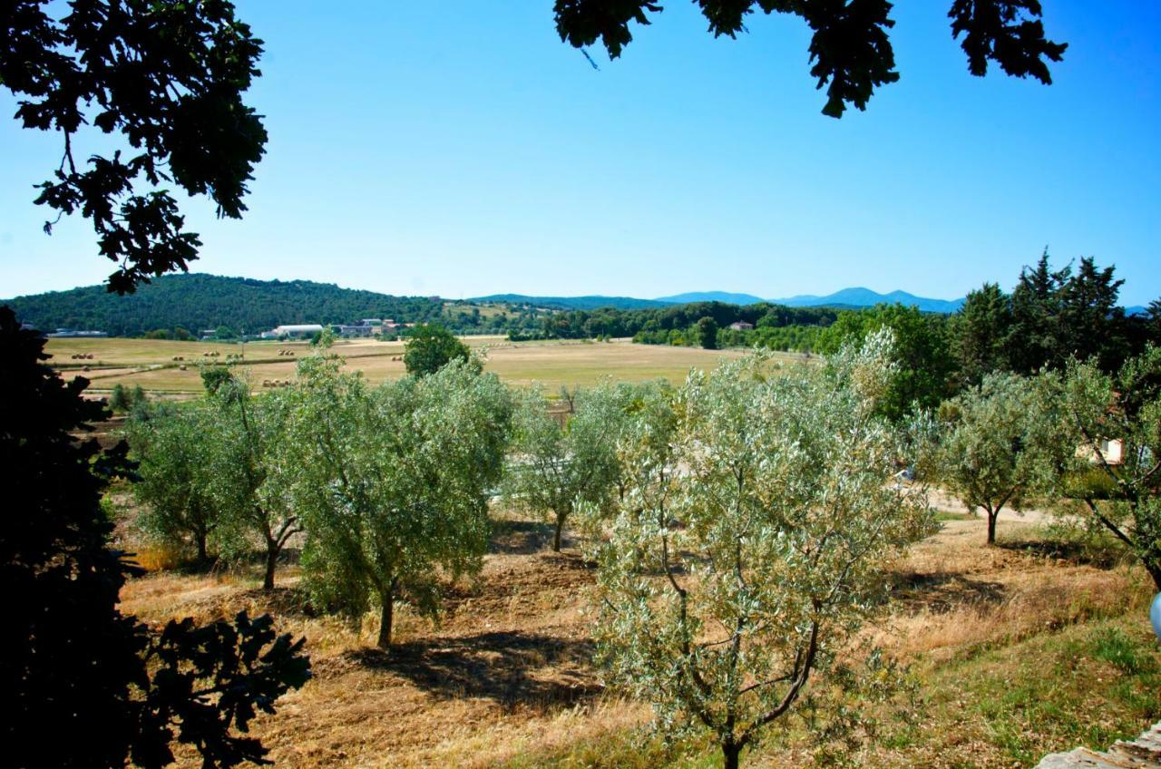 Agriturismo San Lino-Gilberto Massa Marittima Εξωτερικό φωτογραφία