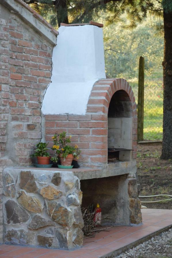 Agriturismo San Lino-Gilberto Massa Marittima Εξωτερικό φωτογραφία